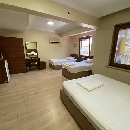 Cenedag Hotel 2*